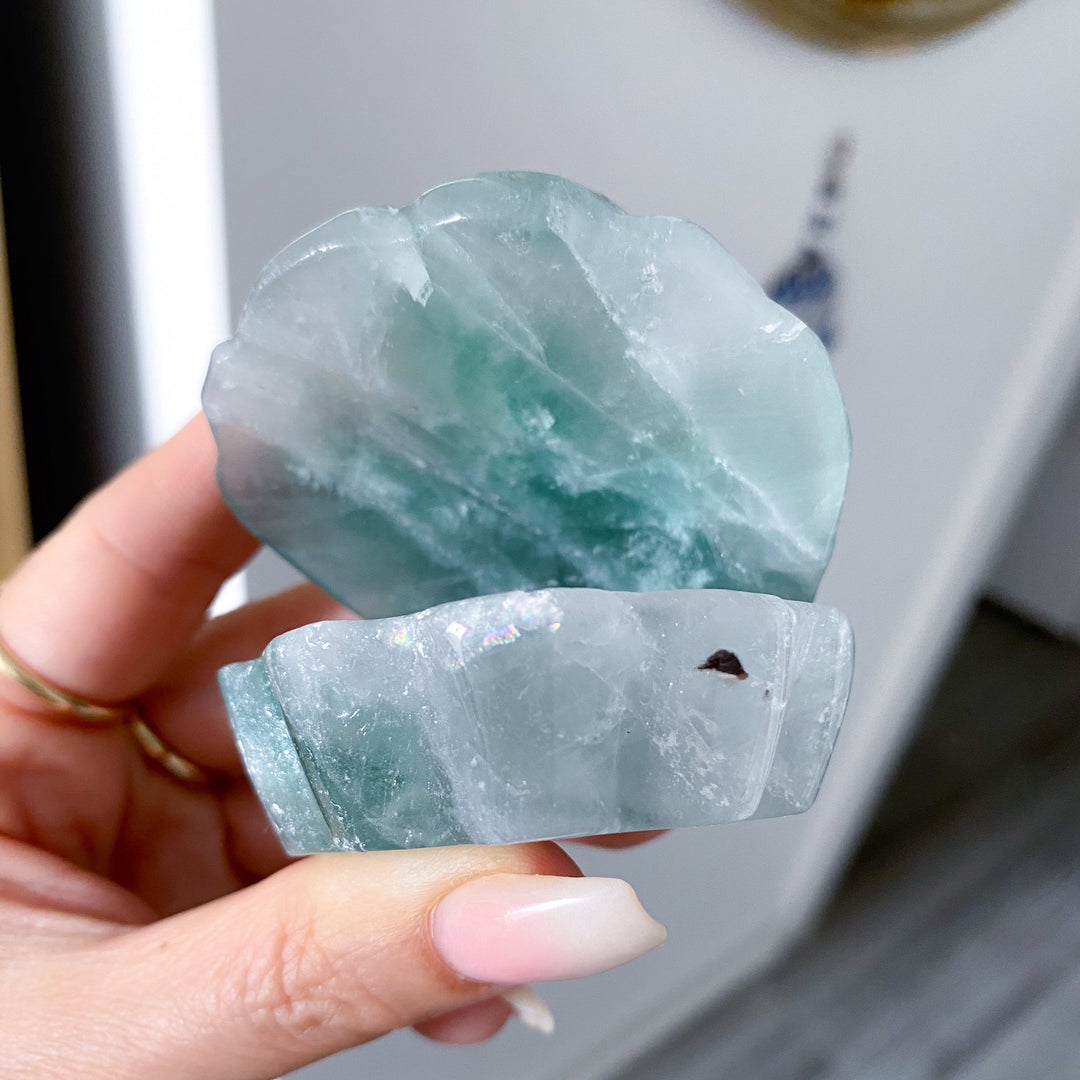 Green Fluorite Clam Shell