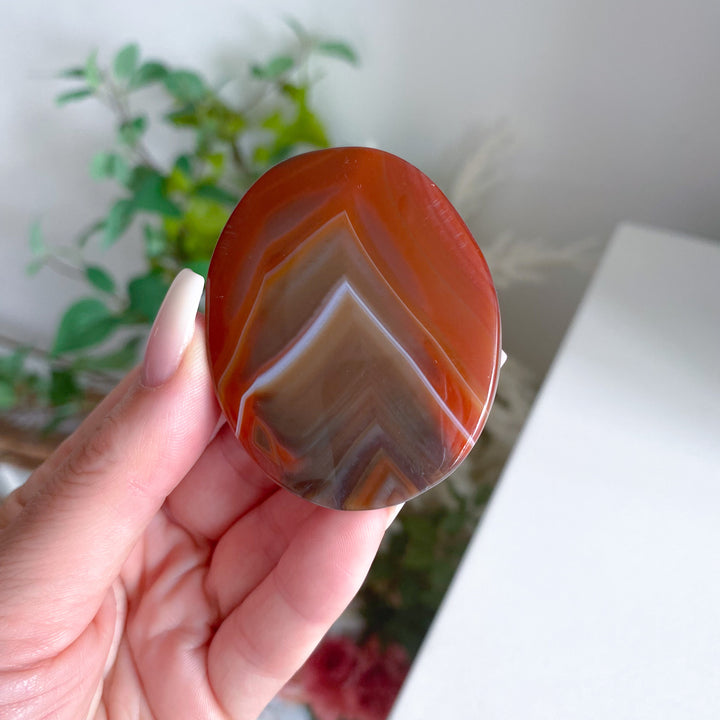 Carnelian Palm 