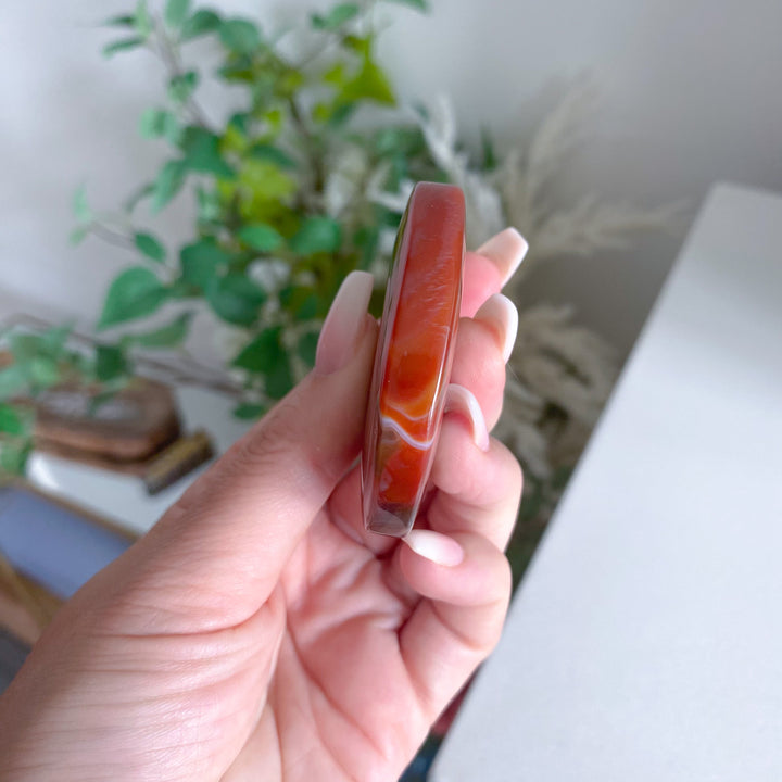 Carnelian Palm 