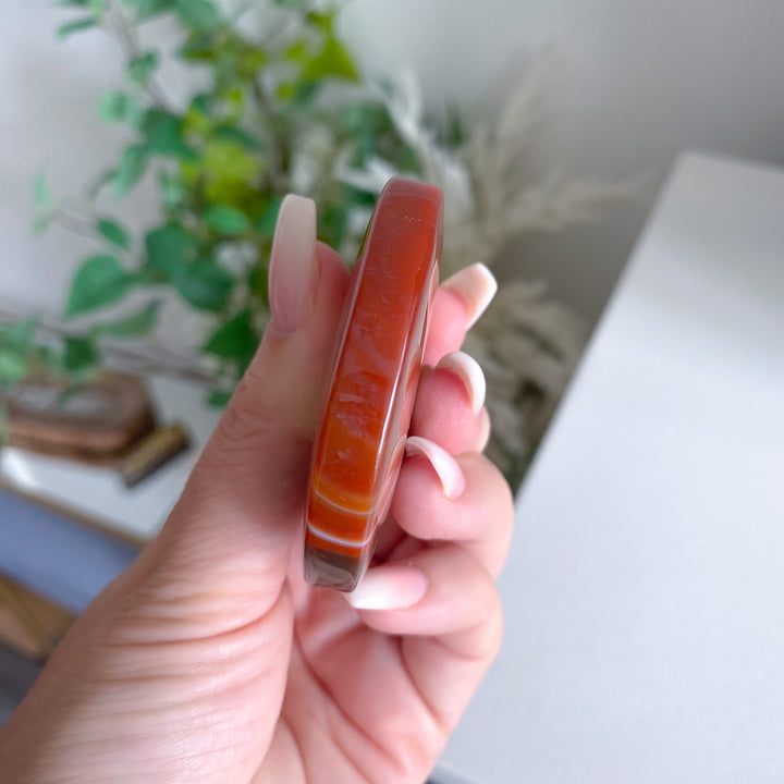 Carnelian Palm 