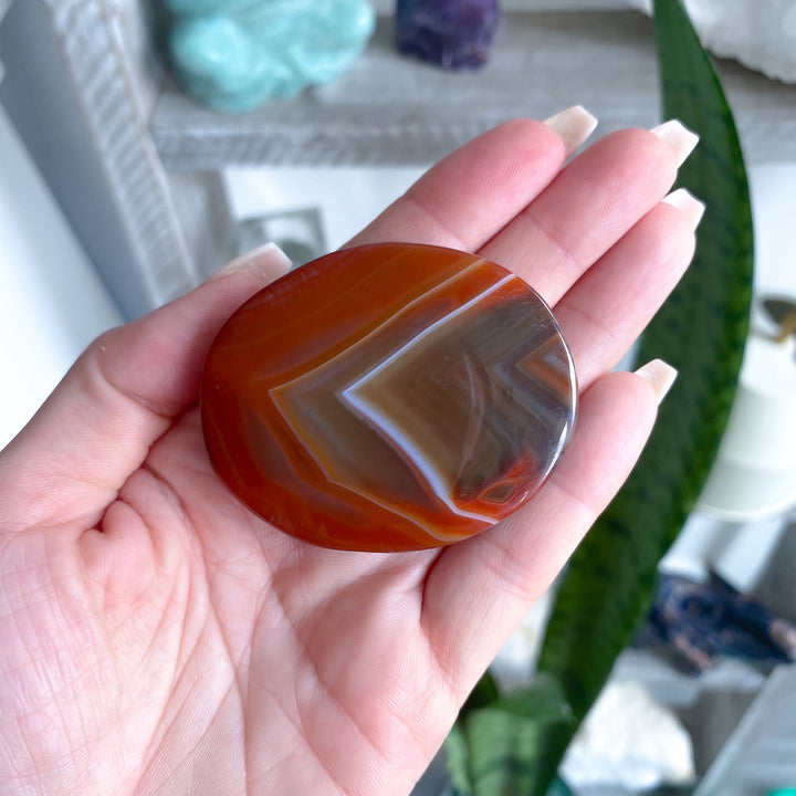 Carnelian Palm 