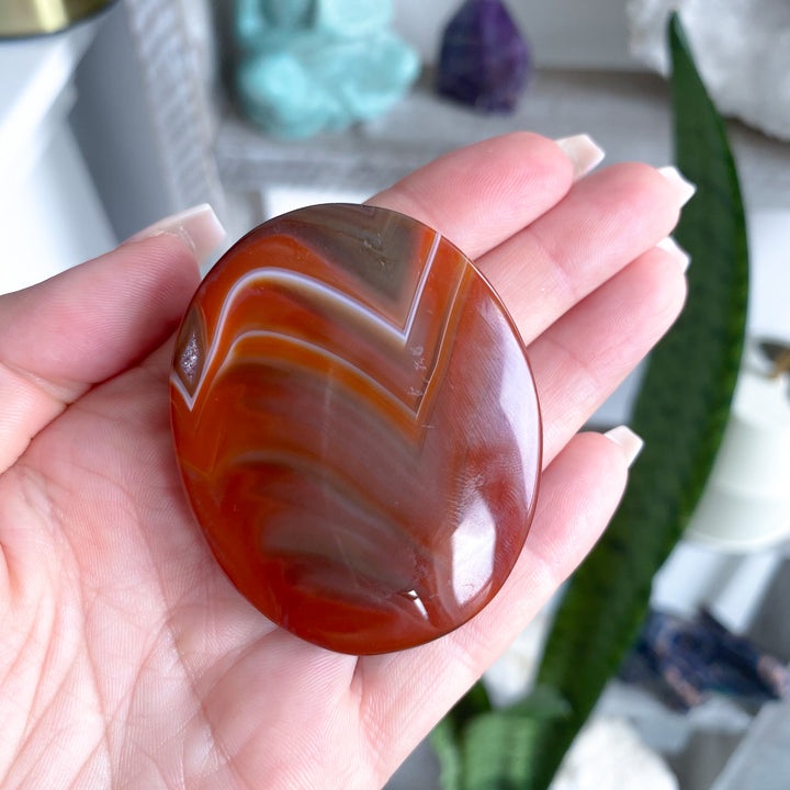 Carnelian Palm 