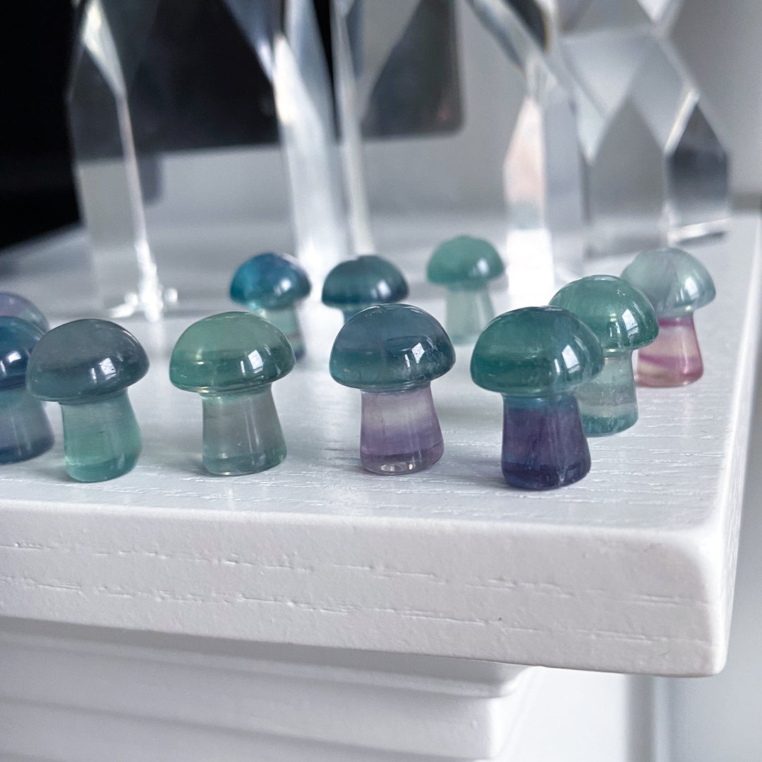 Rainbow Fluorite Mini Mushroom