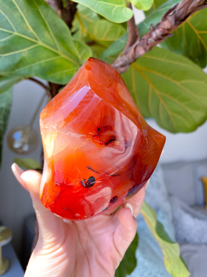 XL Carnelian Flame #3 - Get this Exact Stone