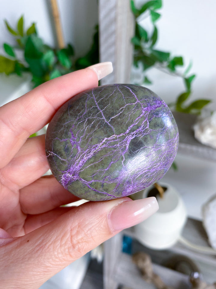 Stichtite Palm Stone #1