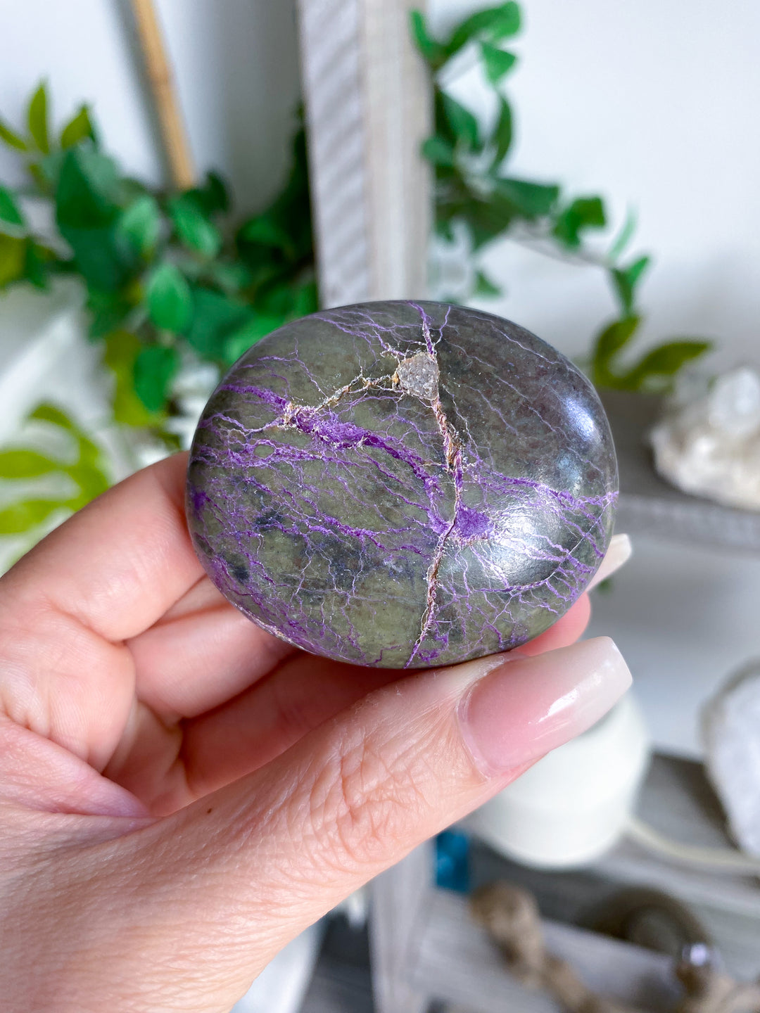 Stichtite Palm Stone #1