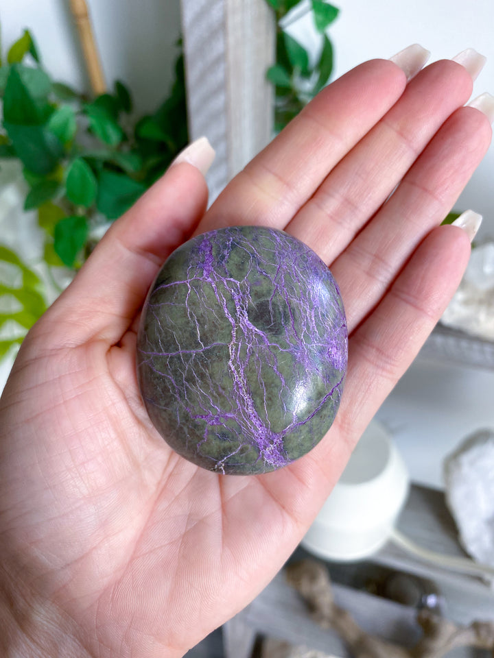 Stichtite Palm Stone #1
