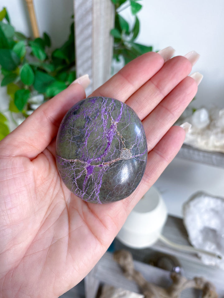 Stichtite Palm Stone #1