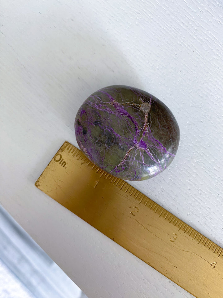 Stichtite Palm Stone #1