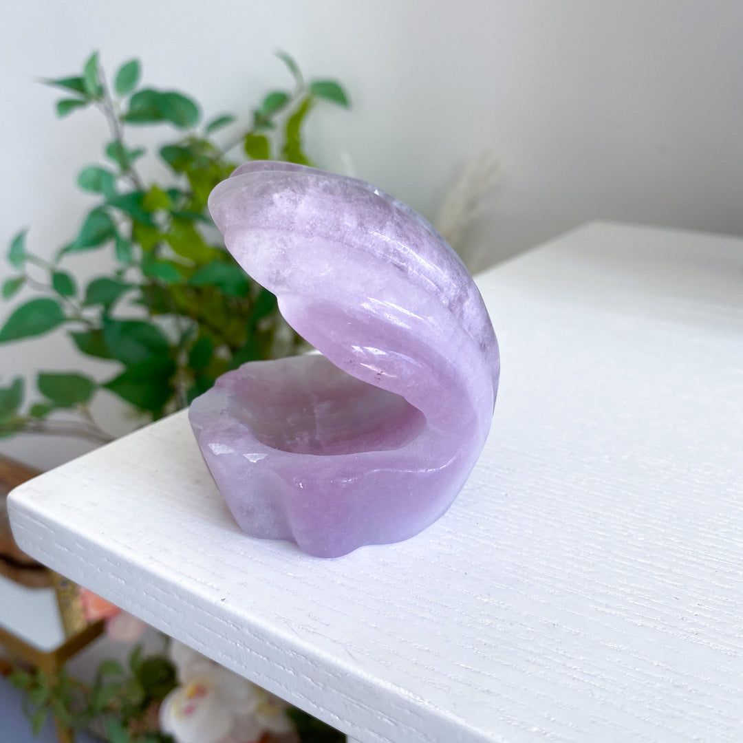 Lavender Fluorite Shell Carving 