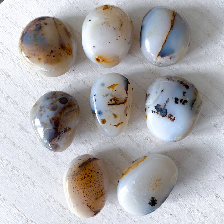 Dendritic Agate "Plentitude" Palm Stone - You Choose