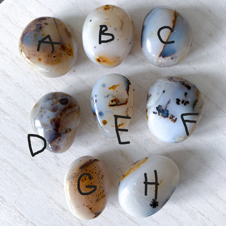Dendritic Agate "Plentitude" Palm Stone - You Choose