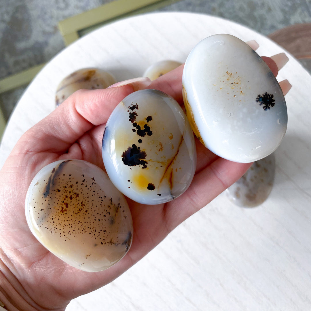 Dendritic Agate "Plentitude" Palm Stone - You Choose