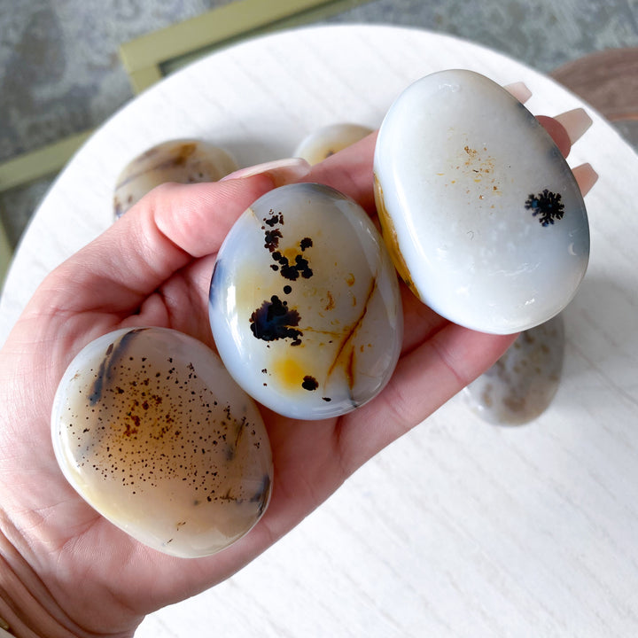 Dendritic Agate "Plentitude" Palm Stone - You Choose