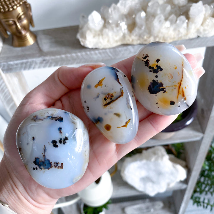Dendritic Agate "Plentitude" Palm Stone - You Choose