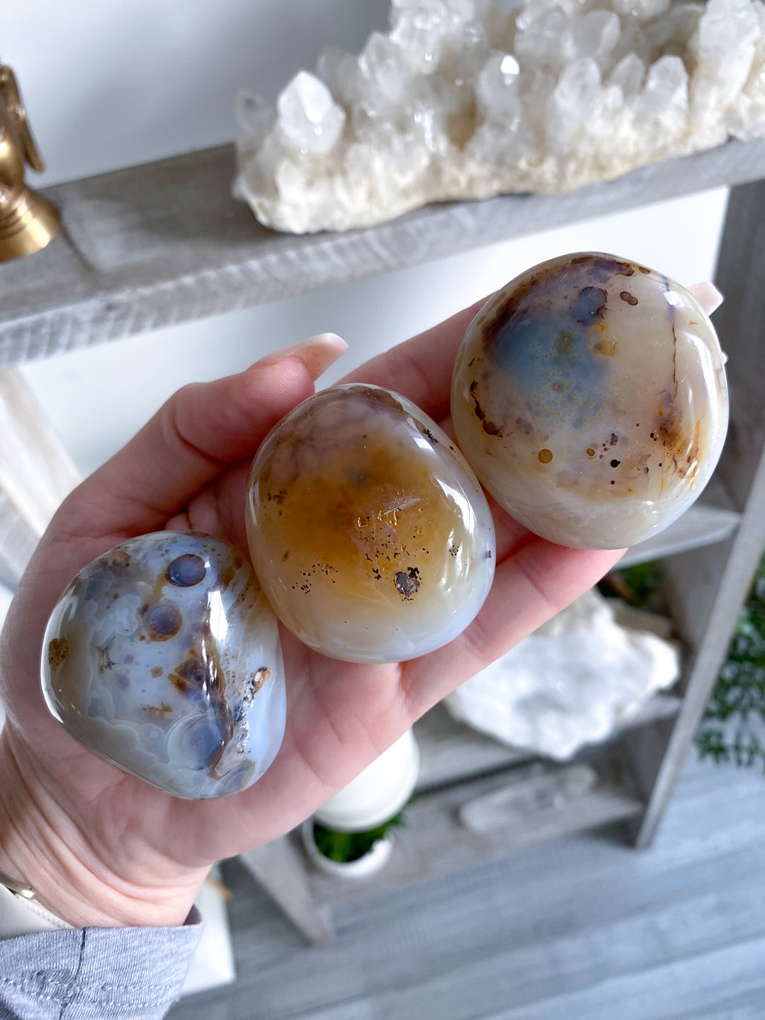 Dendritic Agate "Plentitude" Palm Stone - You Choose