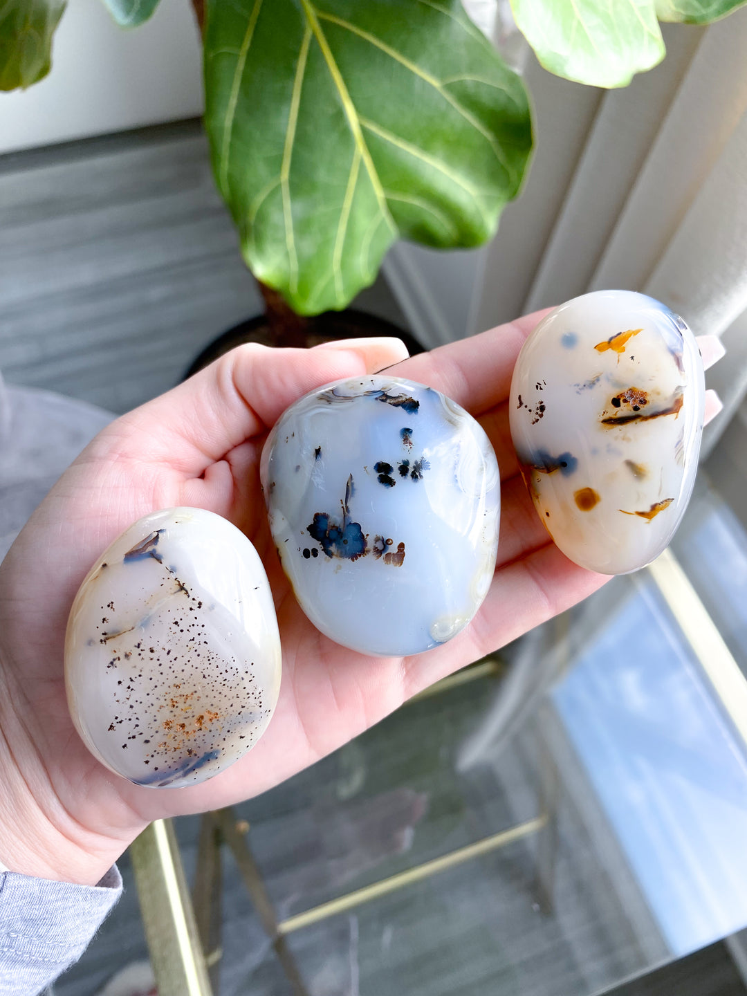 Dendritic Agate "Plentitude" Palm Stone - You Choose