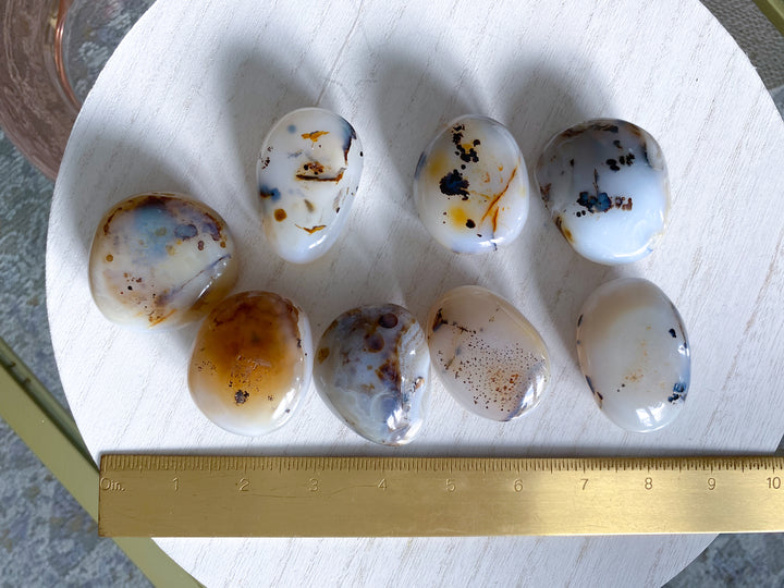 Dendritic Agate "Plentitude" Palm Stone - You Choose