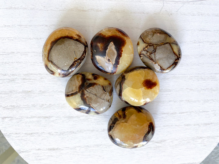 Septarian Dragon Egg Palm Stone - You Choose