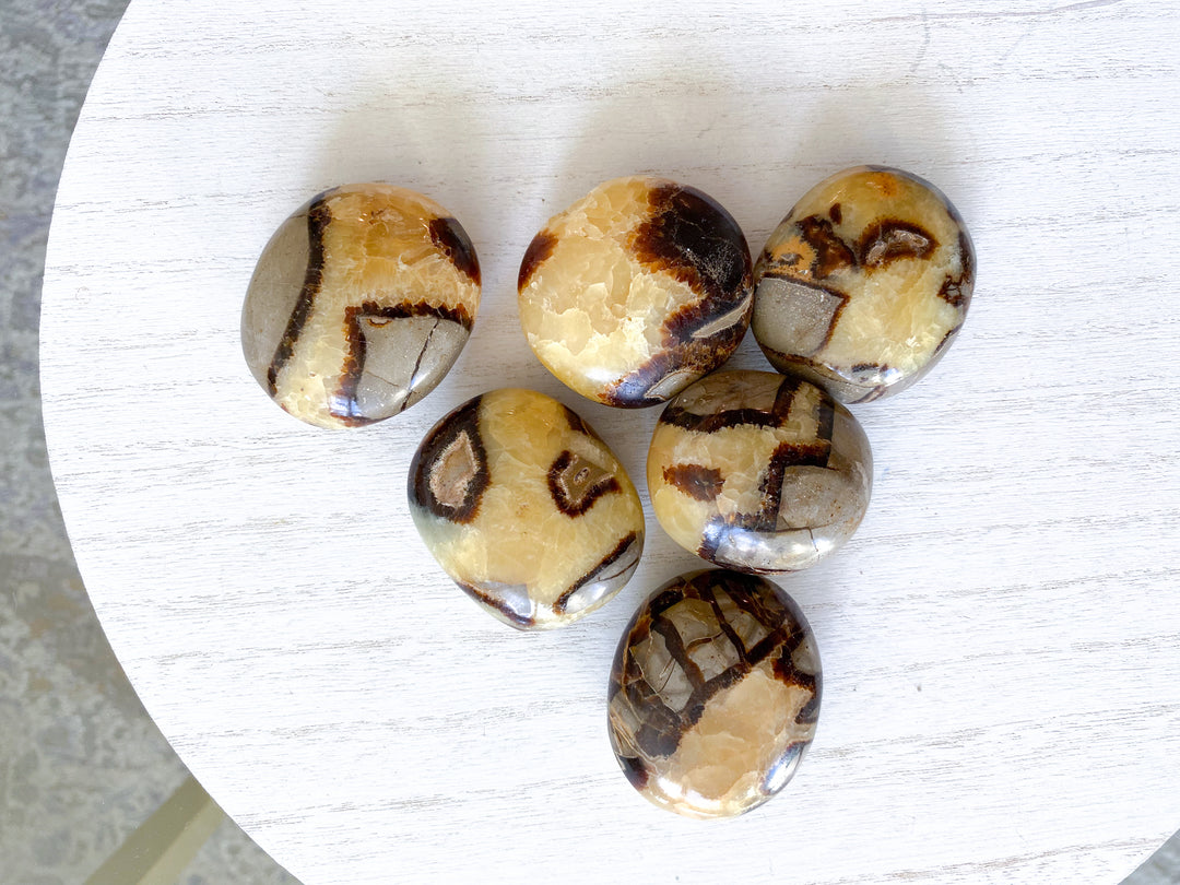 Septarian Dragon Egg Palm Stone - You Choose