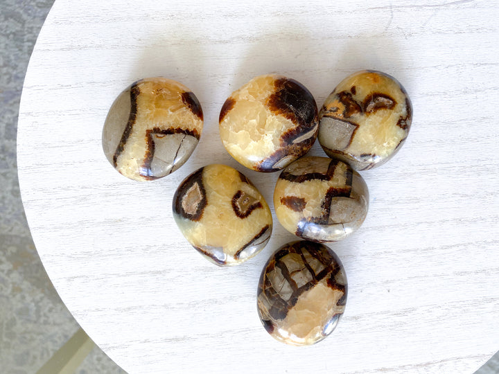 Septarian Dragon Egg Palm Stone - You Choose