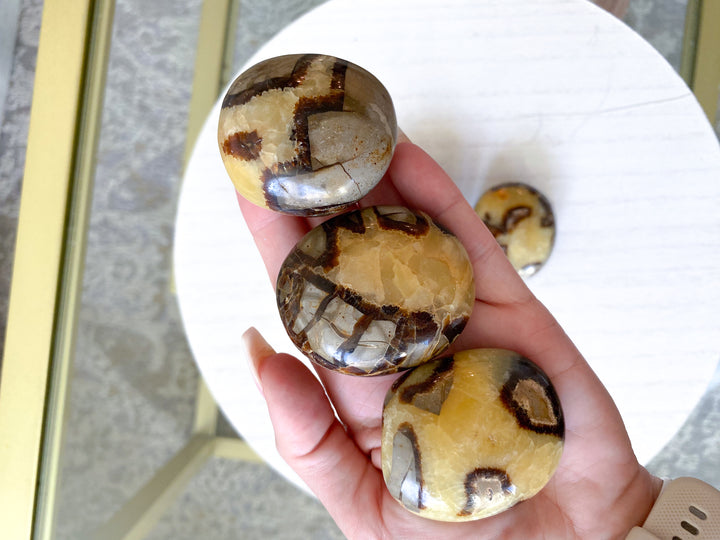 Septarian Dragon Egg Palm Stone - You Choose