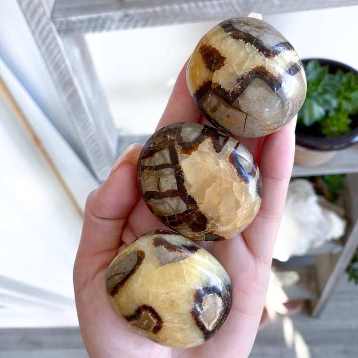 Septarian Dragon Egg Palm Stone - You Choose