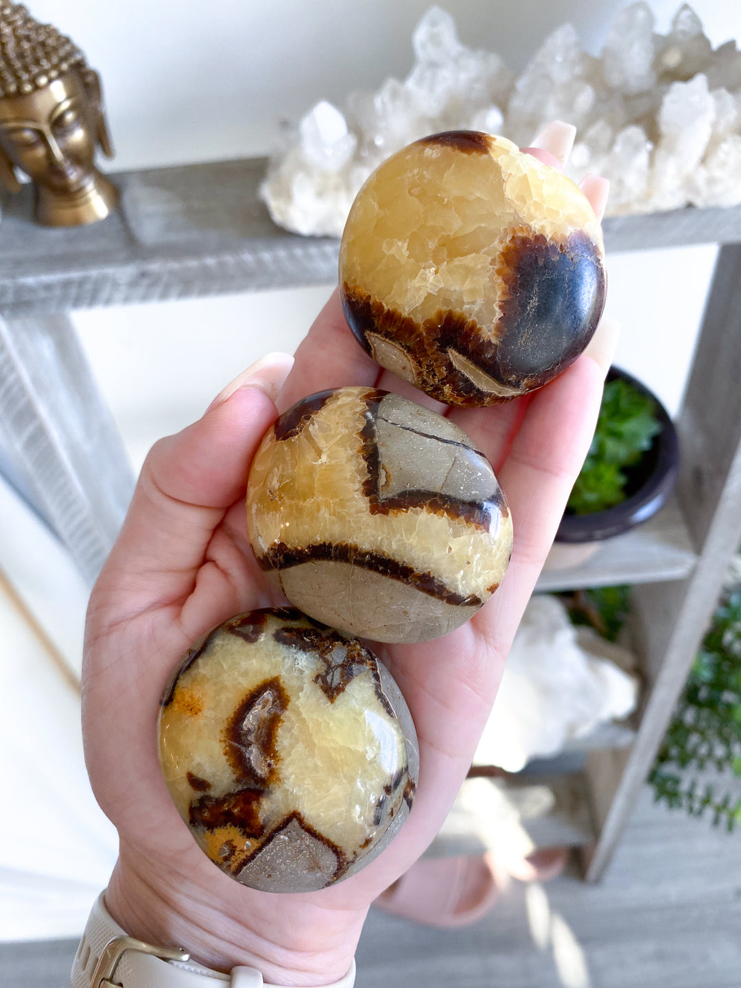 Septarian Dragon Egg Palm Stone - You Choose