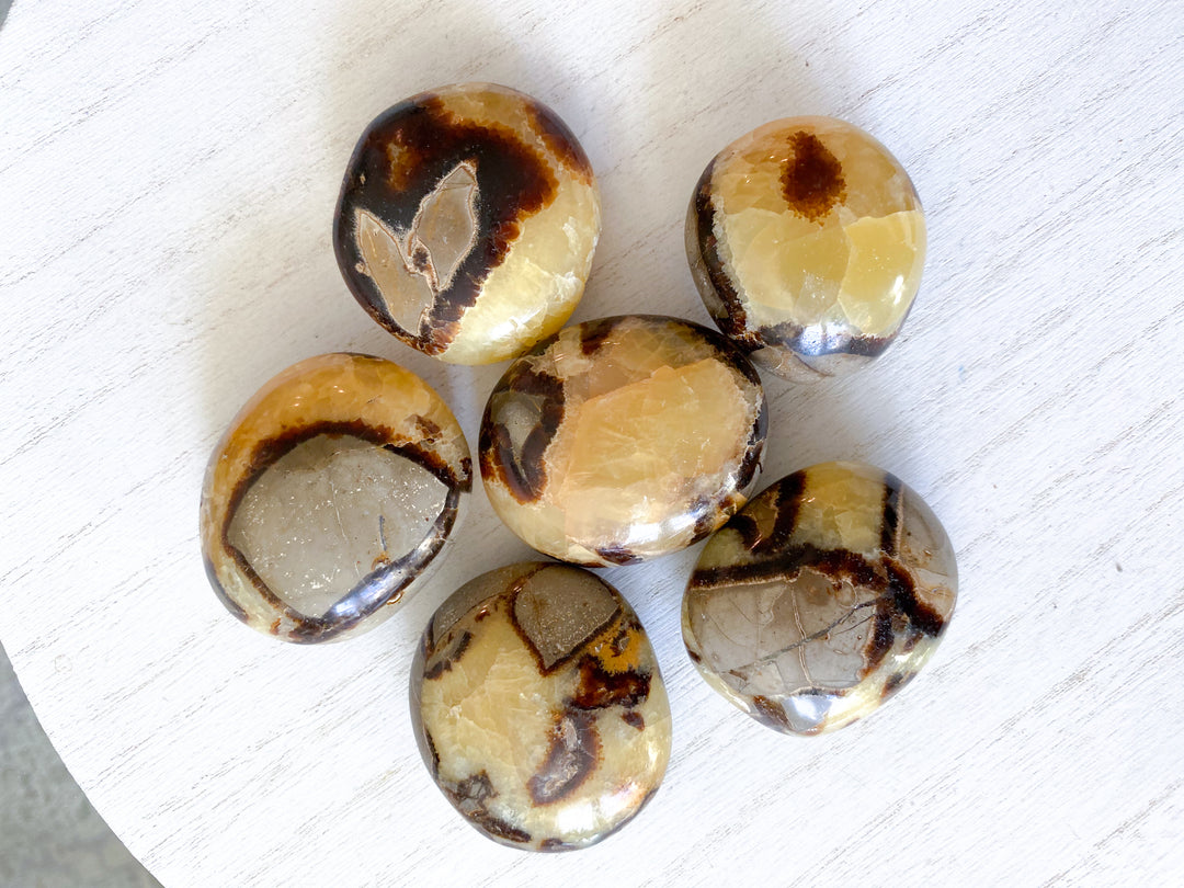 Septarian Dragon Egg Palm Stone - You Choose