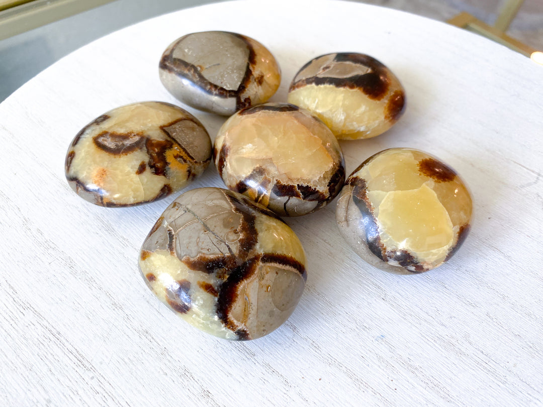 Septarian Dragon Egg Palm Stone - You Choose