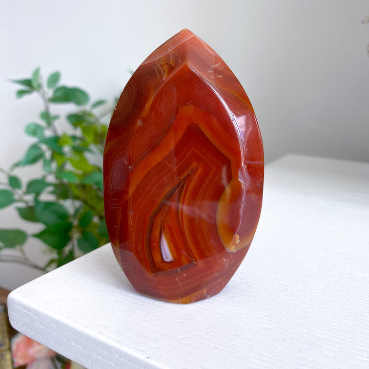 Carnelian Flame w/ Druze Cave 