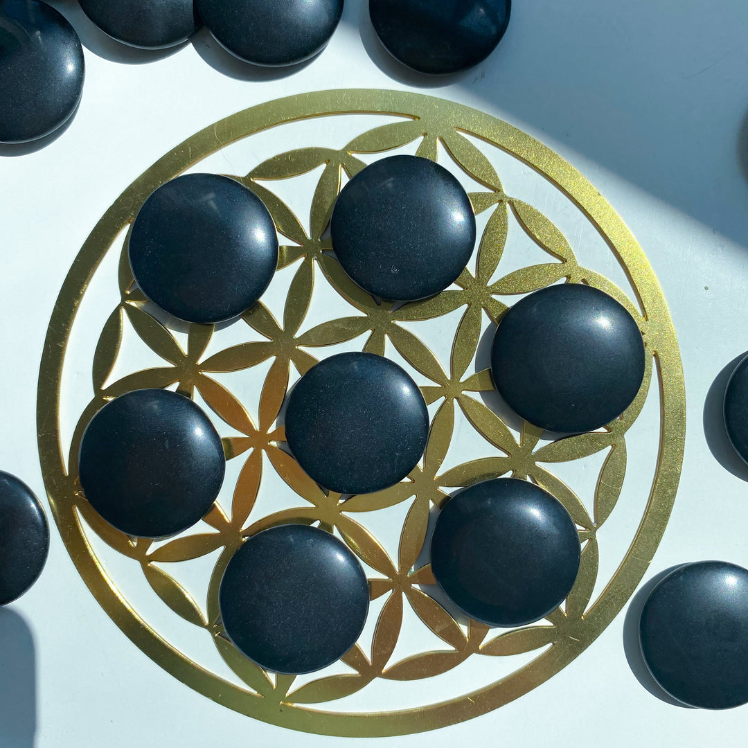 A Quality Black Jade Coin