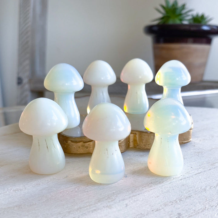 Cute Opalite Mushroom 1"