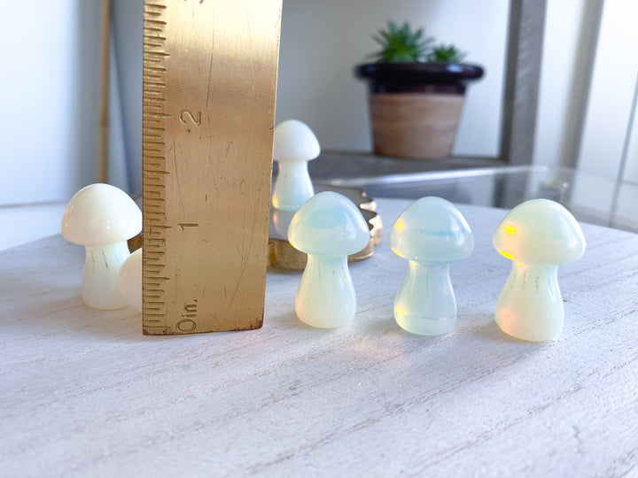 Cute Opalite Mushroom 1"