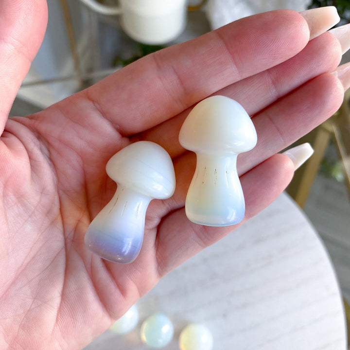 Cute Opalite Mushroom 1"