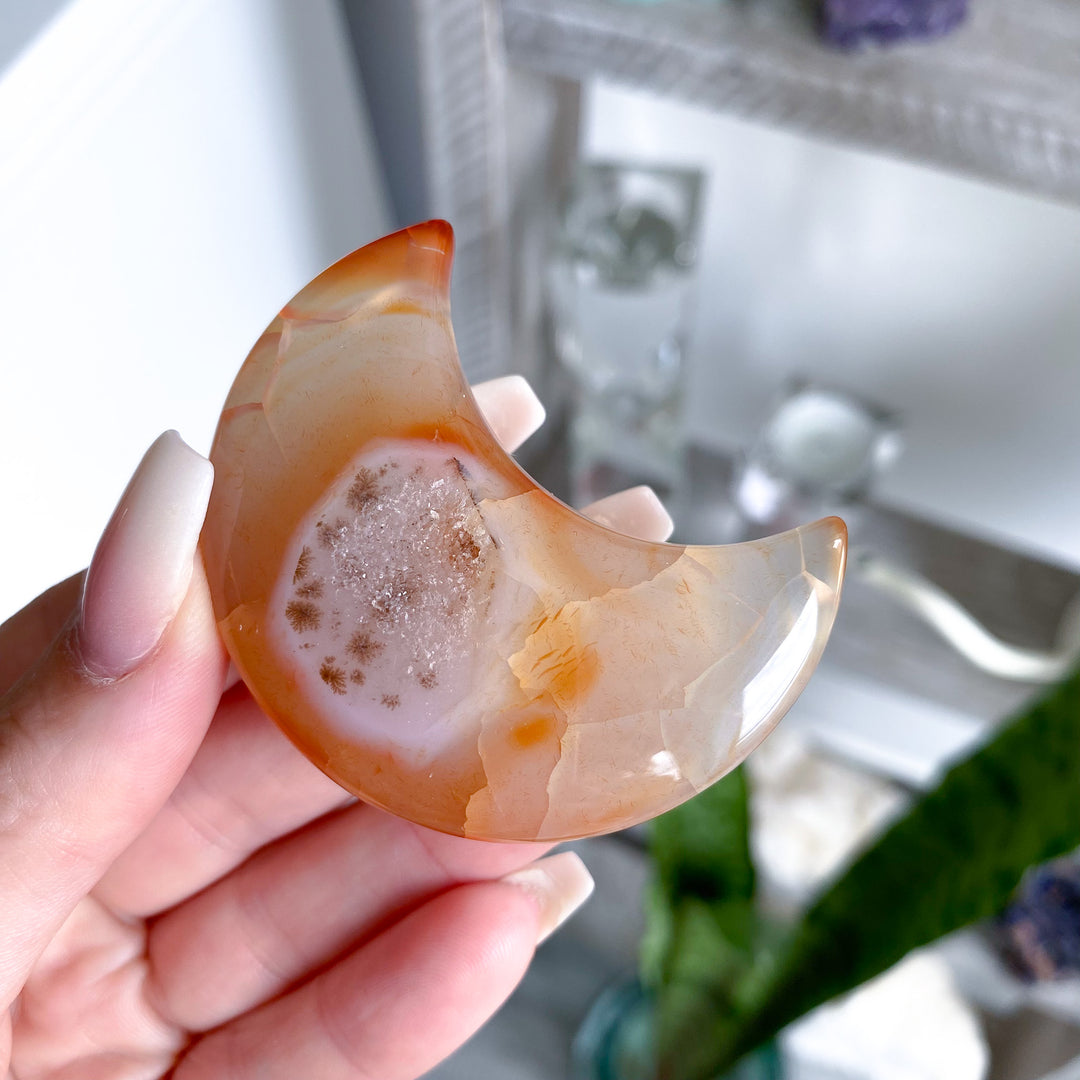 Choose Your Dendritic Carnelian Moon 2"