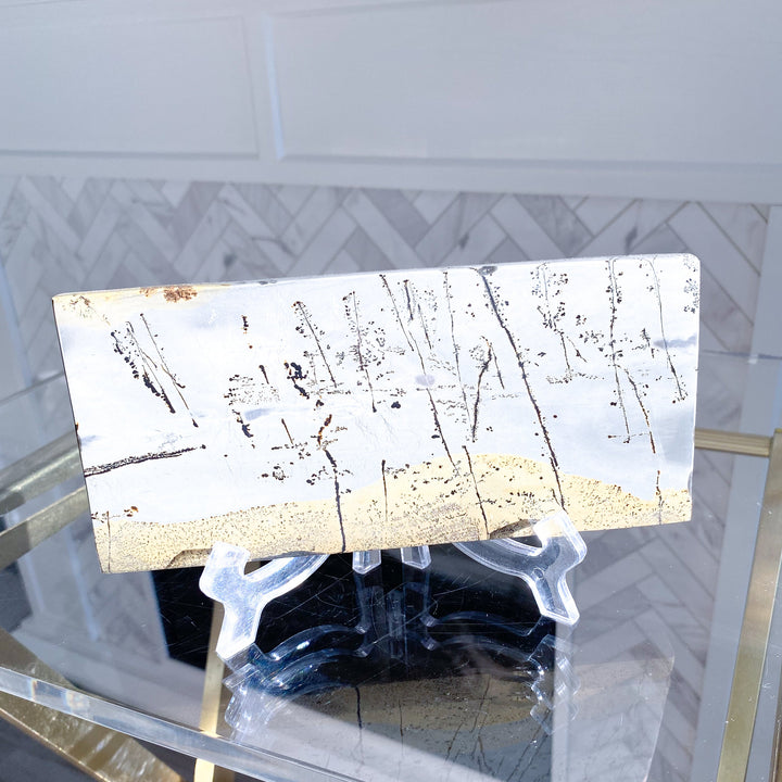 Gorgeous Picture Jasper Slab on Stand #2