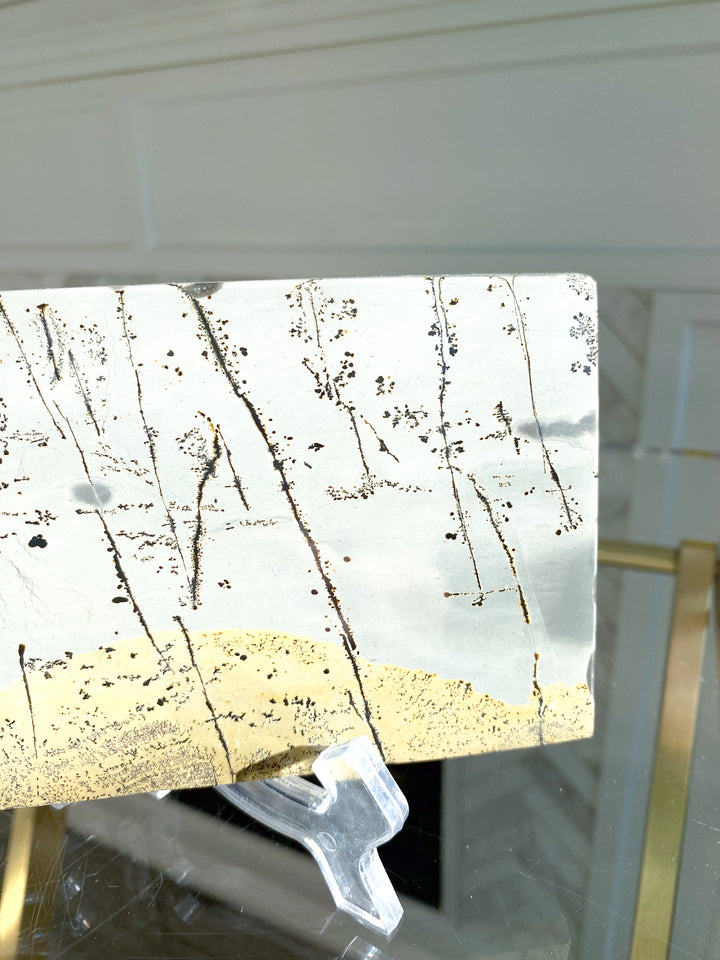Gorgeous Picture Jasper Slab on Stand #2