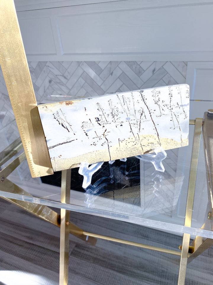 Gorgeous Picture Jasper Slab on Stand #2