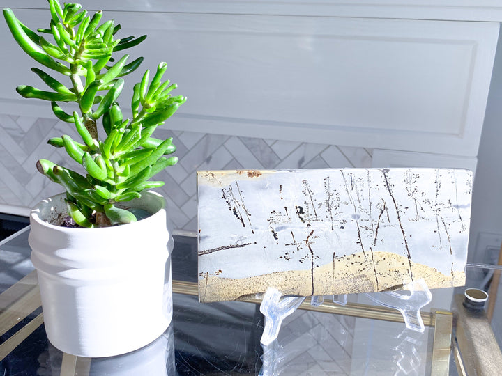 Gorgeous Picture Jasper Slab on Stand #2