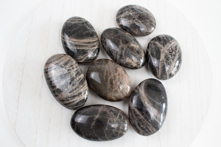 Black Moonstone Palm
