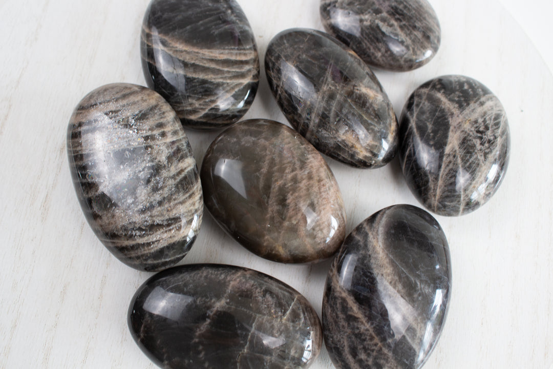 Black Moonstone Palm