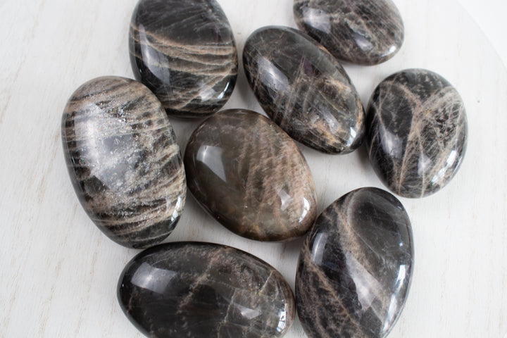 Black Moonstone Palm