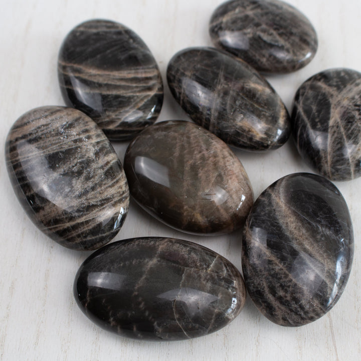 Black Moonstone Palm
