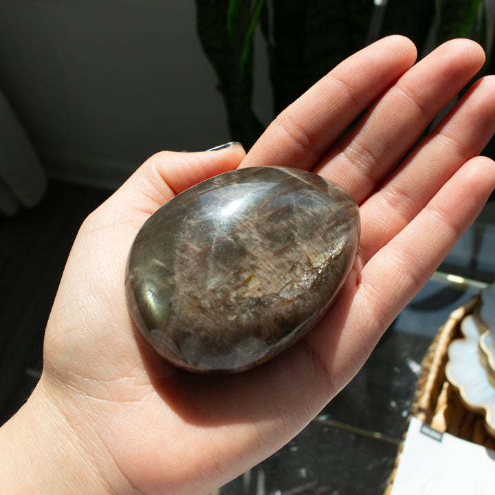 Black Moonstone Palm