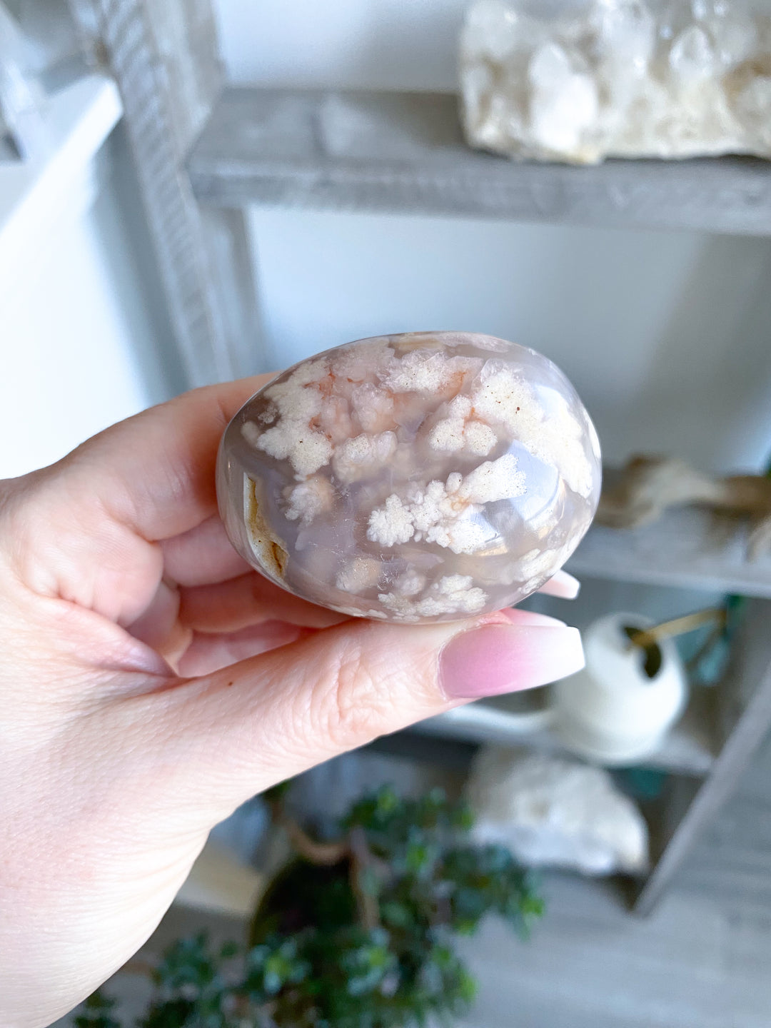 Pink Flower Agate Palm 