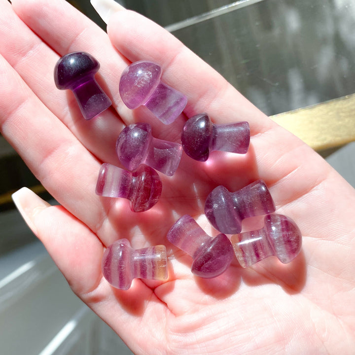 Purple Fluorite Mini Mushroom