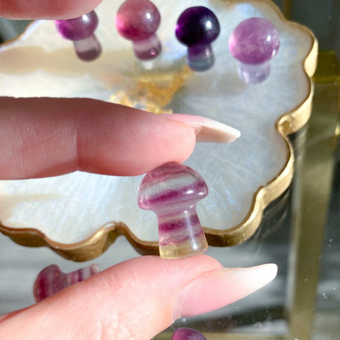 Purple Fluorite Mini Mushroom