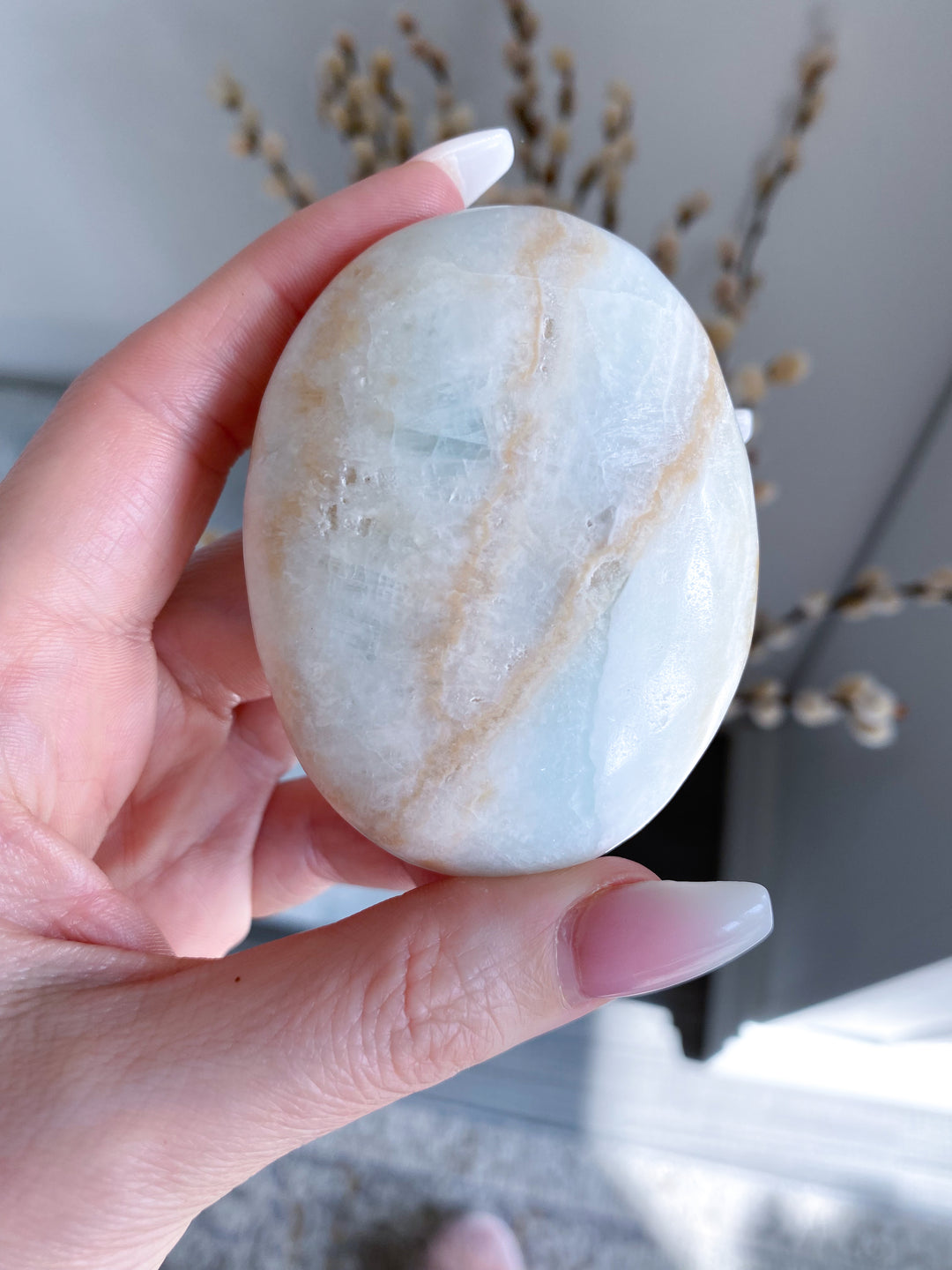 Carribean Calcite Palm Stone #4