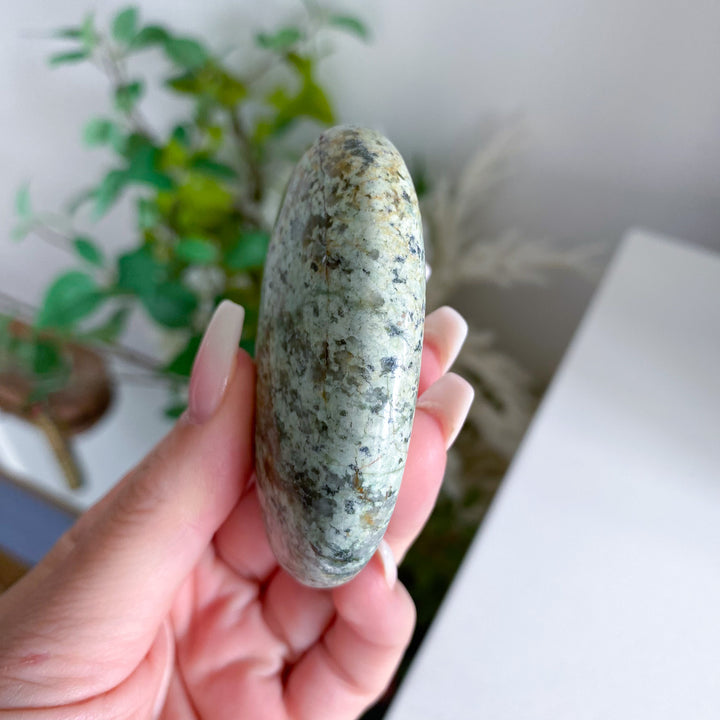 African Turquoise Palm Stone 